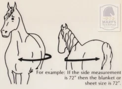 5/A Baker Original Stable Blanket