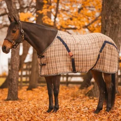 5/A Baker Stable Sheet