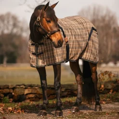 5/A Baker Stable Sheet