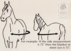 5/A Baker Turnout Sheet