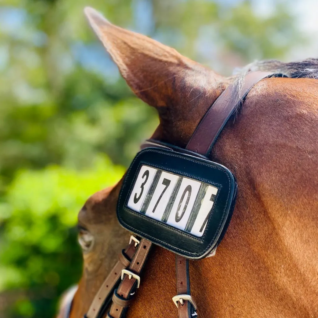 ACE Pro4mance 4 Digit Horse Show Number ID
