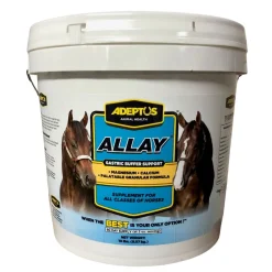 Adeptus Allay