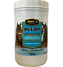 Adeptus Allay