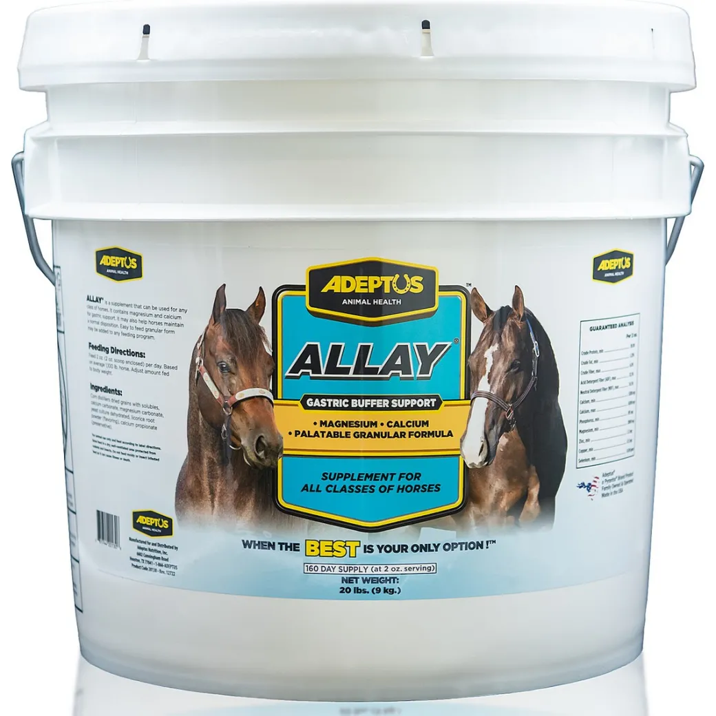 Adeptus Allay