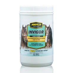Adeptus Invigor