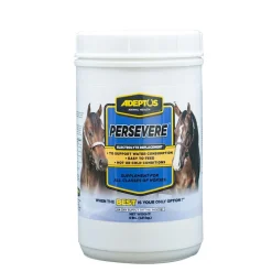 Adeptus Persevere Electrolytes