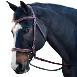 ADT Classique Anatomic Bridle | Brown