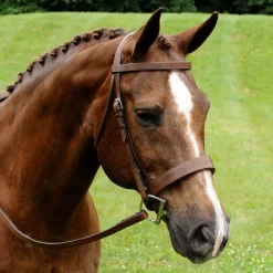 ADT Fox Hunt Bridle