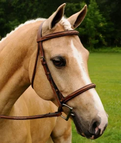 ADT Imperial Mono Crown Bridle
