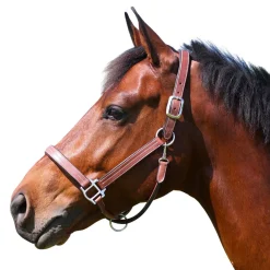 ADT Premium X Halter