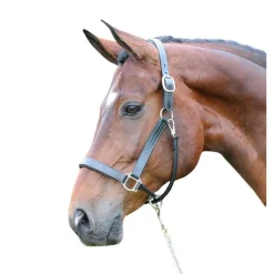ADT Premium X Halter