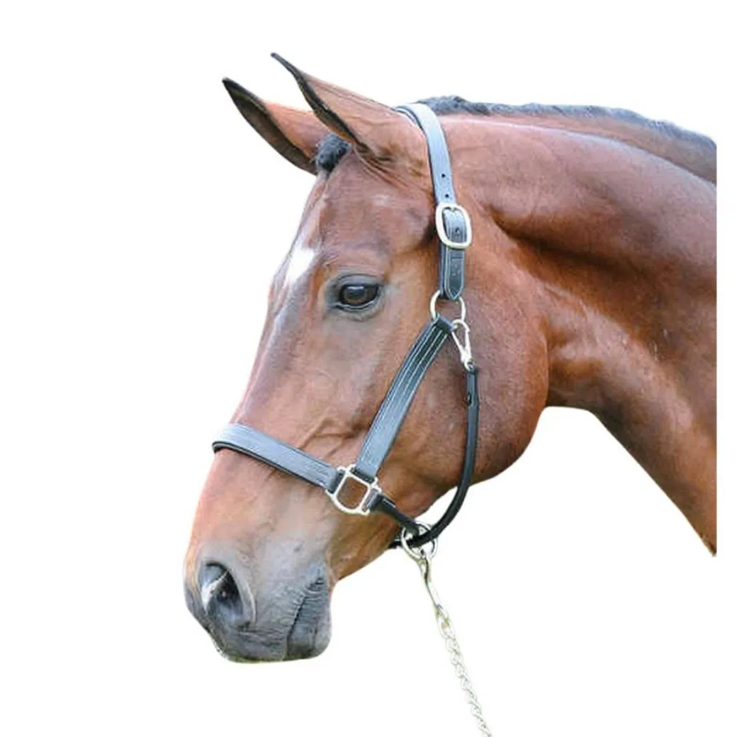 ADT Premium X Halter