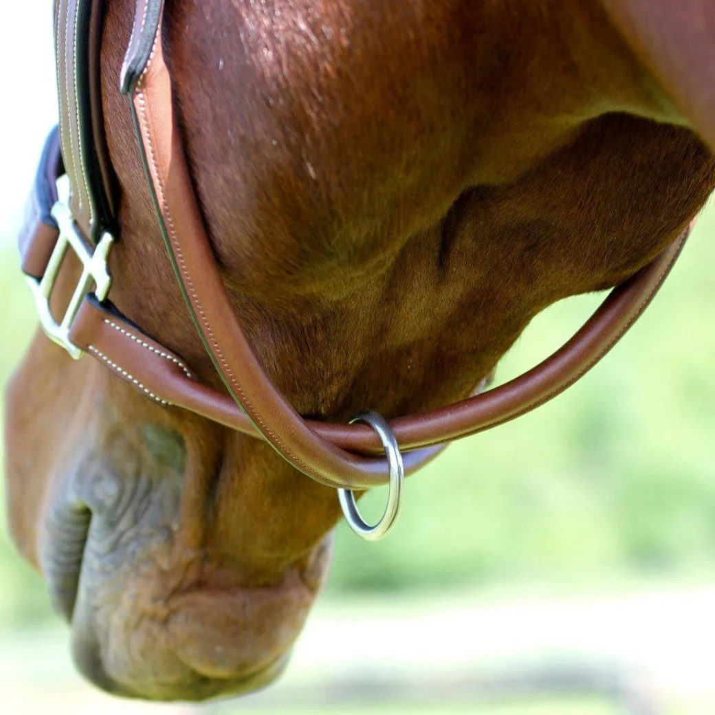 ADT Premium X Halter