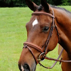 ADT Starman Crank Noseband Bridle