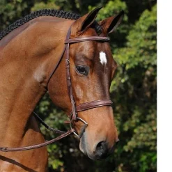ADT Tribute Hunter Bridle