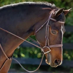 AJR Sport Wide Nose Hunter Bridle