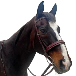 Allon Hunter Bridle