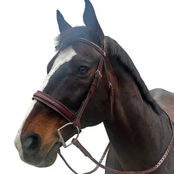 Allon Hunter Bridle