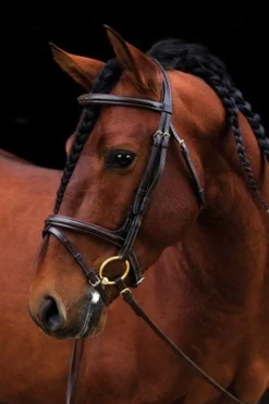 Amigo Deluxe Fancy Stitch Bridle with Flash