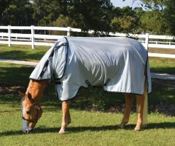 Amigo Stock Horse Fly Sheet