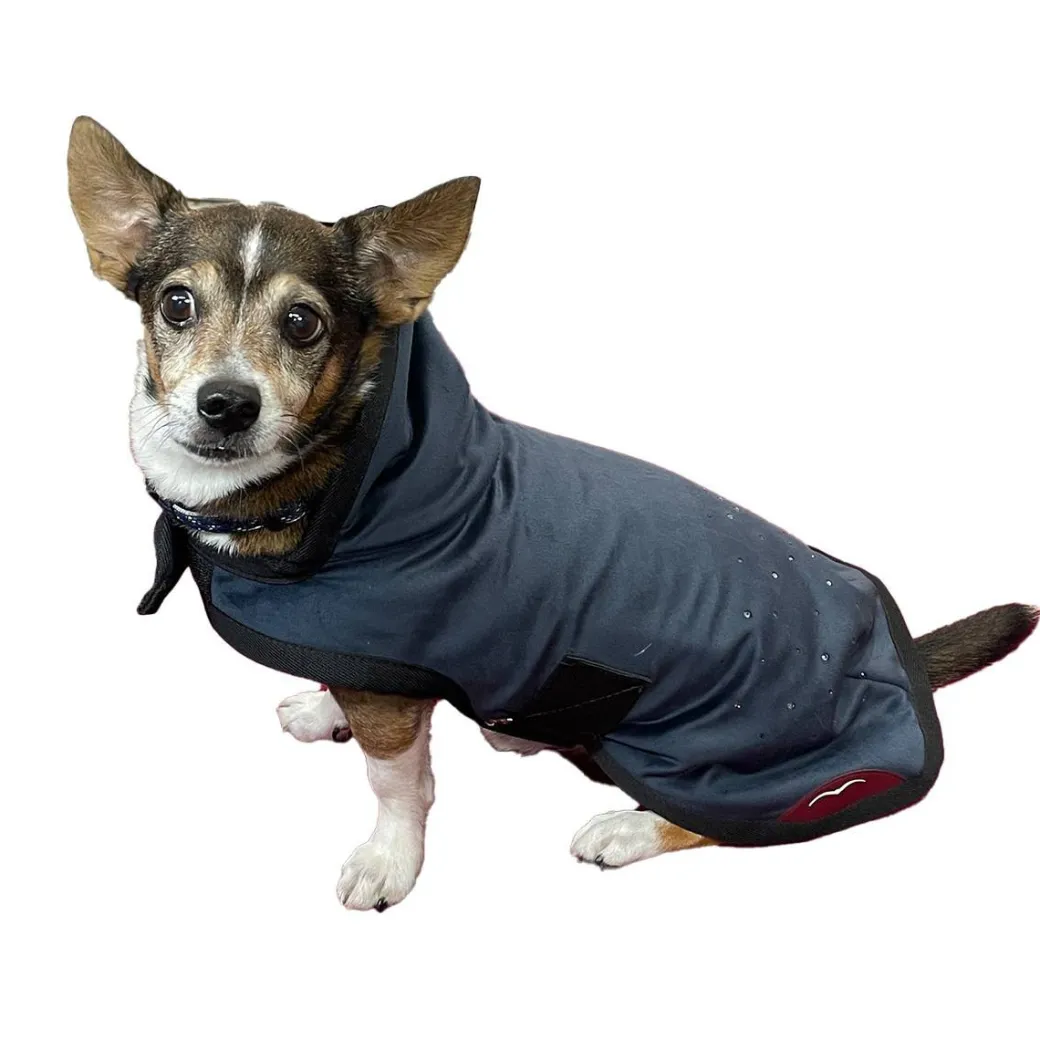 Animo Julestorm Dog Coat