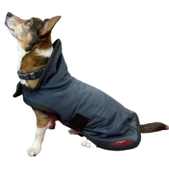 Animo Julestorm Dog Coat