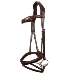 Antarès Signature Sport Flash Bridle