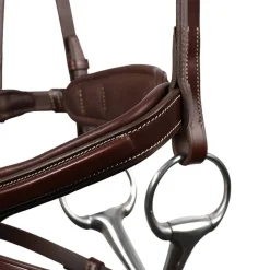 Antarès Signature Sport Flash Bridle