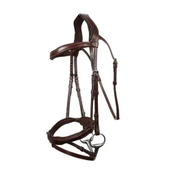 Antarès Signature Sport Flash Bridle