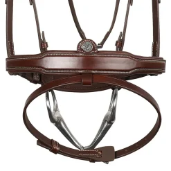 Antarès Signature Sport Flash Bridle
