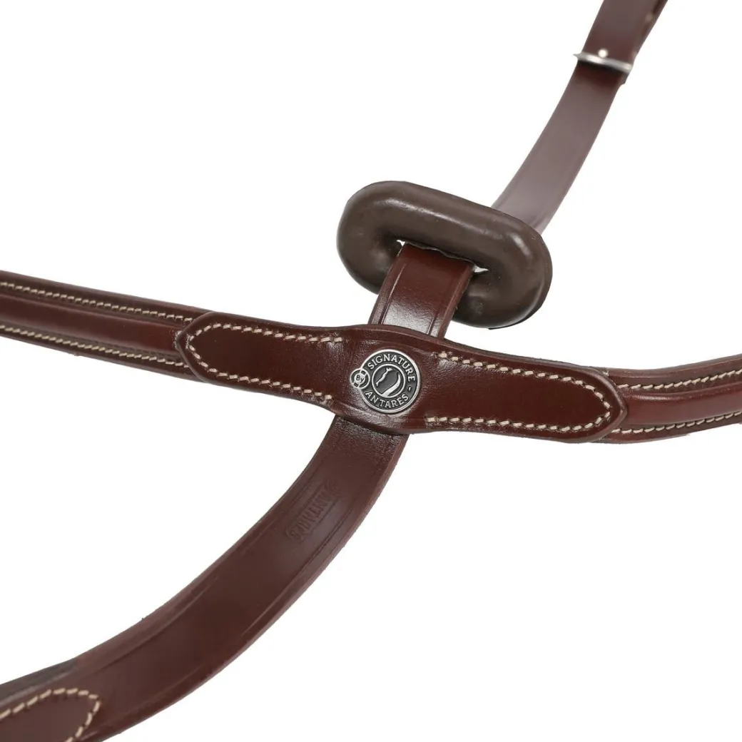 Antarès Signature Sport Standing Martingale