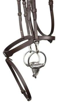 Antarès Signature Training Bridle