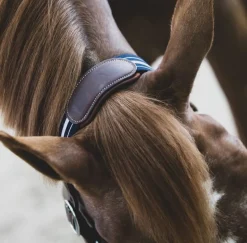 Antarès Stressless Leather Halter