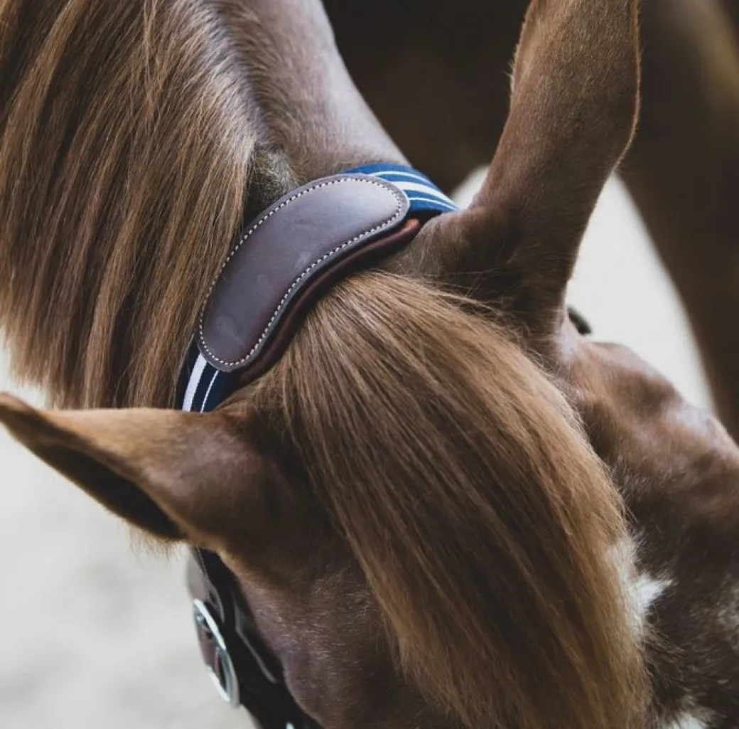 Antarès Stressless Leather Halter