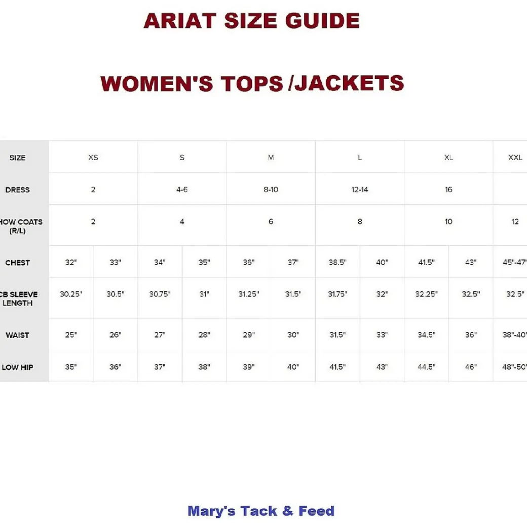 Ariat Kirby Ombre Blue Horseshoe Shirt