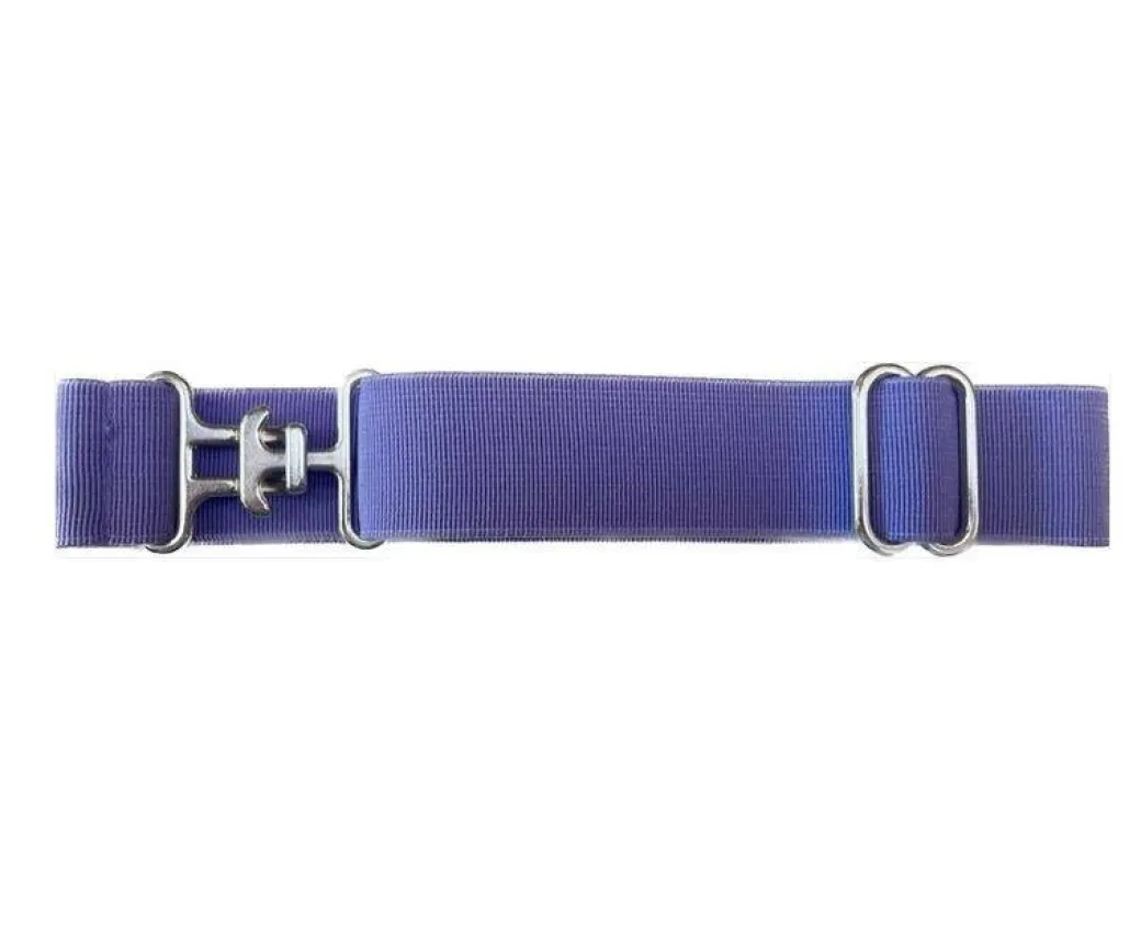 Belle & Bow Elastic Belts 1"