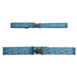 Belle & Bow Friendship Elastic Belts