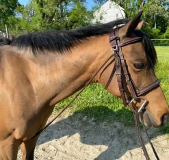 Belle & Bow Pony Chambon