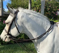 Belle & Bow Pony Draw Reins