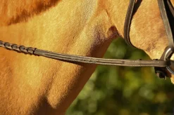 Belle & Bow Pony Fancy Laced Reins