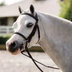 Belle & Bow Pony Farnley Bridle