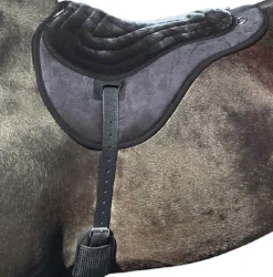 Best Friend Comfort Plus Bareback Pad