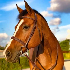 Beval Heritage Wide Fancy Stitch Bridle