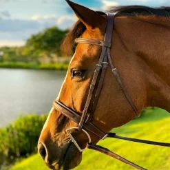 Beval Heritage Wide Fancy Stitch Bridle