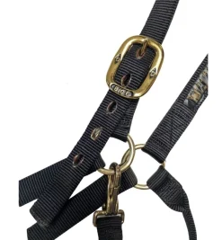 Big D Nylon Draft Halter - Snap + Adjustable Chin