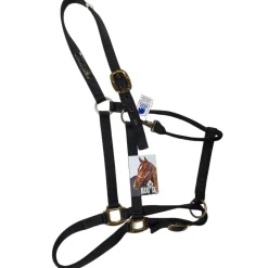 Big D Nylon Draft Halter - Snap + Adjustable Chin