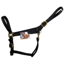 Big D Nylon Draft Halter - Snap + Adjustable Chin
