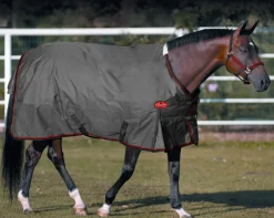 Big D Sussex Lite Turnout Blanket