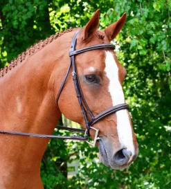 Black Oak Aster Snaffle Bridle