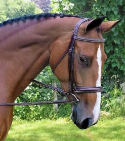 Black Oak Laurel Wide Fancy Stitch Hunter Bridle